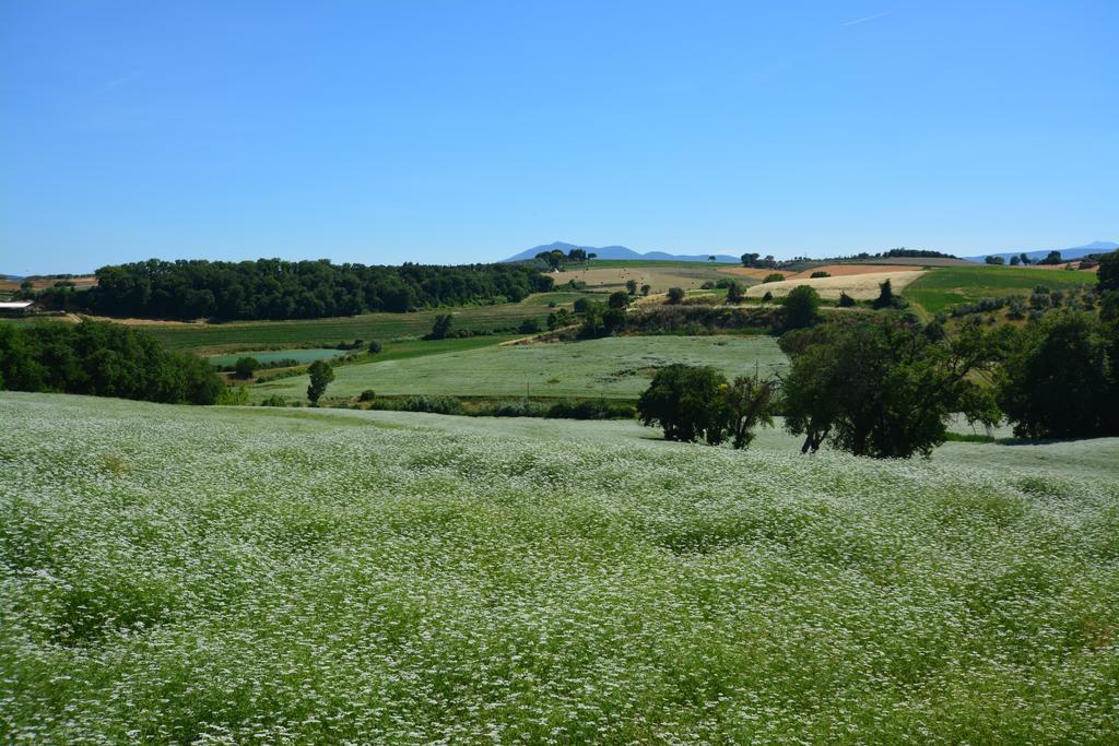 Agriturismo Dolce Verde Castiglione del Lago Exterior foto