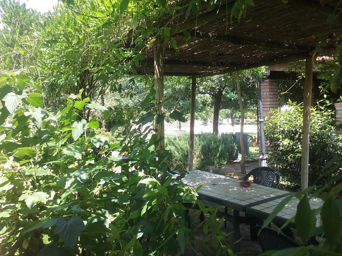 Agriturismo Dolce Verde Castiglione del Lago Exterior foto